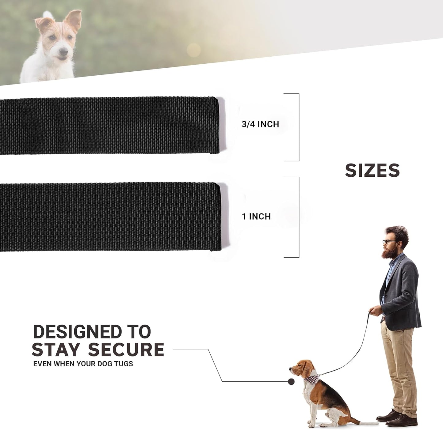 Camo Dog Leash - Camouflage Dog Lead Waterproof with Easy Grip Loop - 1 Inch X 6 Feet, Camouflage