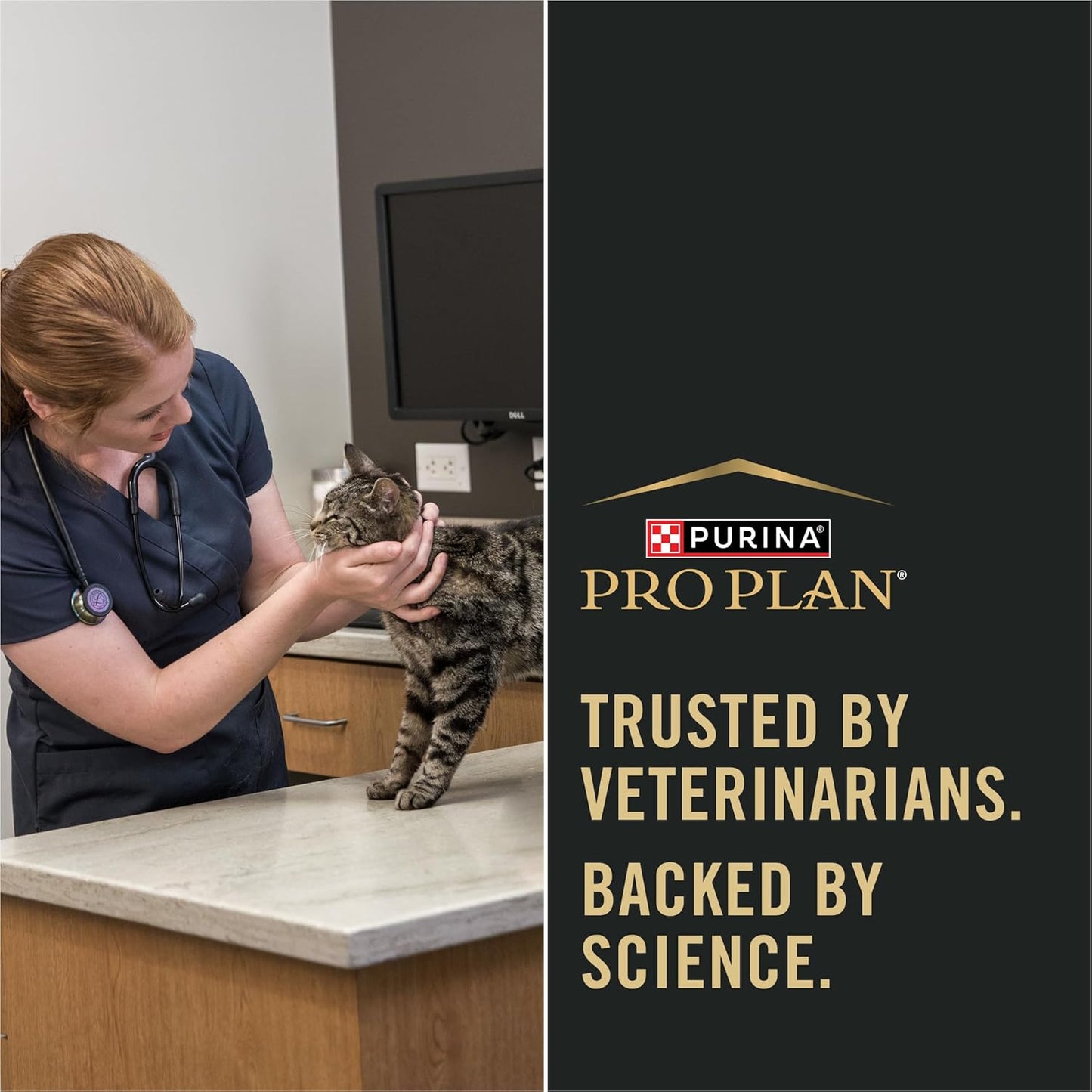 Weight Control Dry Cat Food, Chicken and Rice Formula - 7 Lb. Bag