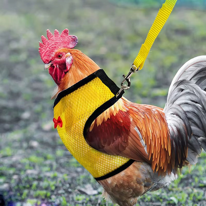 Pet Mesh Soft Harness with Leash Small Animal Vest Lead for Chicken Adjustable Rope with Leash and Matching Belt Hen Pet Vest