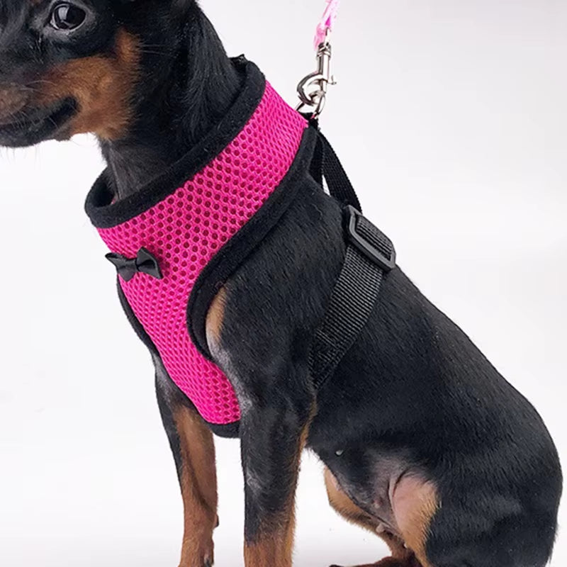 Pet Mesh Soft Harness with Leash Small Animal Vest Lead for Chicken Adjustable Rope with Leash and Matching Belt Hen Pet Vest