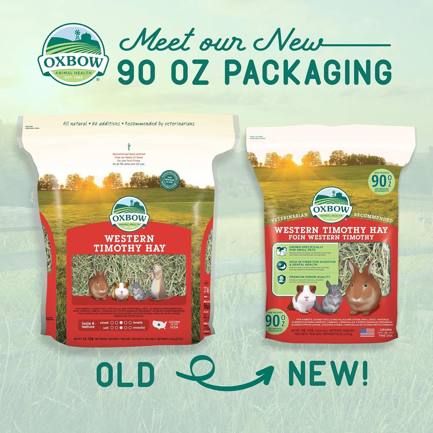 Western Timothy Hay, Guinea Pig Hay, Small Pet Bunny Supplies, All Natural Grass for Guinea Pig, Bunny, Chinchilla & Hamster,  Rabbit Supplies for Bunnies, 90 Oz. Bag