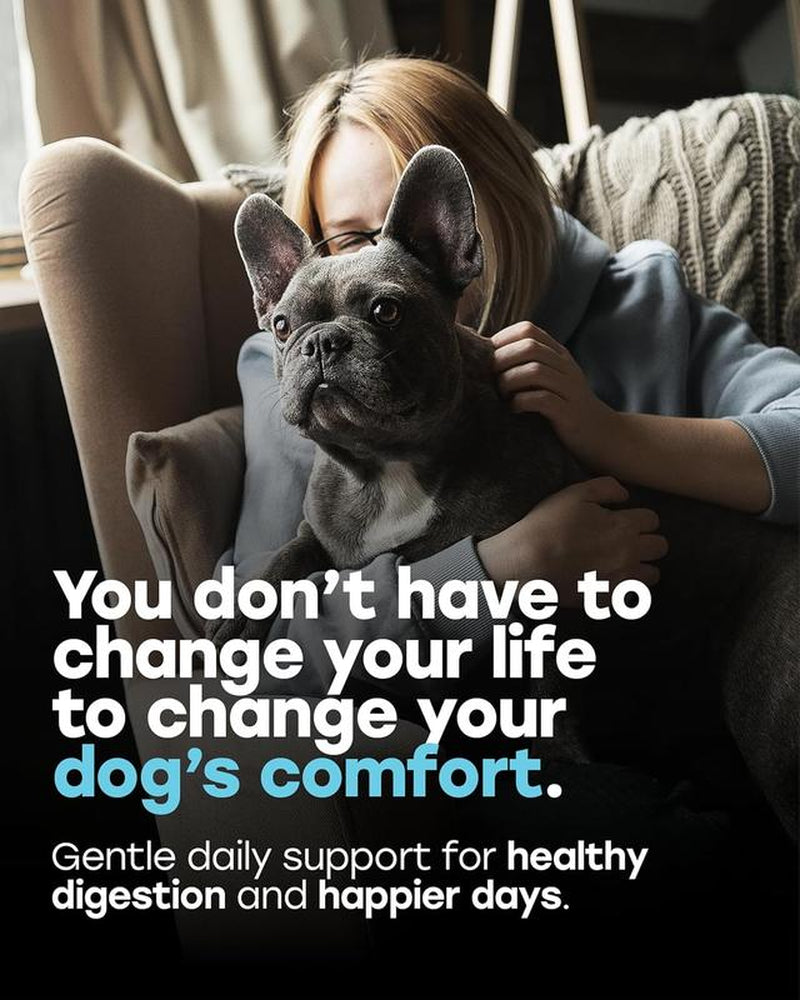 Pup Choice Probiotics for Dogs - Phd Endorsed Digestive Enzymes - Gut Health, Diarrhea & Bowel Support - Dog Treats with Turmeric, Omega-3 & Fiber - Immune Soft 140 Chews - Beef Flavor - Made in USA