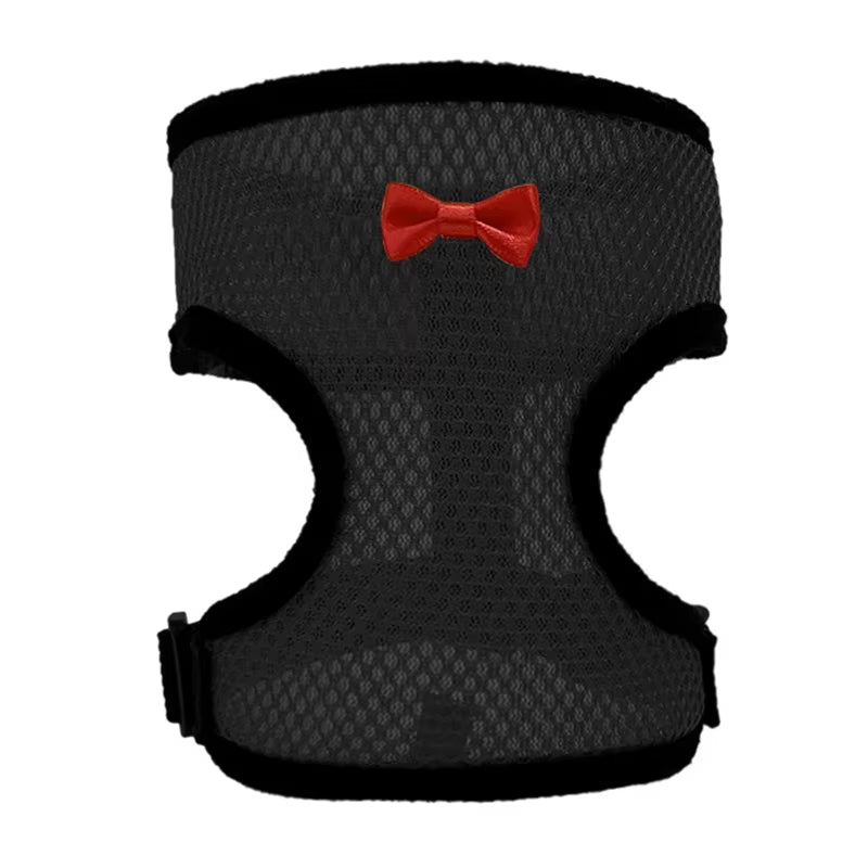 Pet Mesh Soft Harness with Leash Small Animal Vest Lead for Chicken Adjustable Rope with Leash and Matching Belt Hen Pet Vest