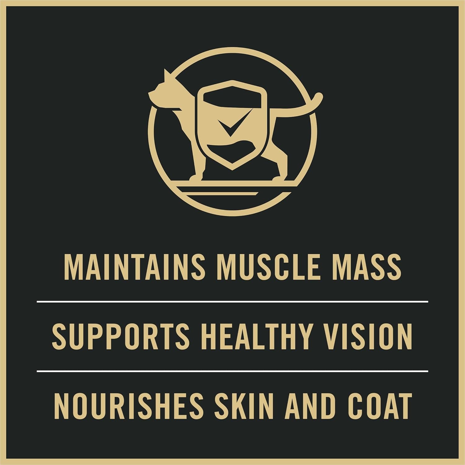 Weight Control Dry Cat Food, Chicken and Rice Formula - 7 Lb. Bag