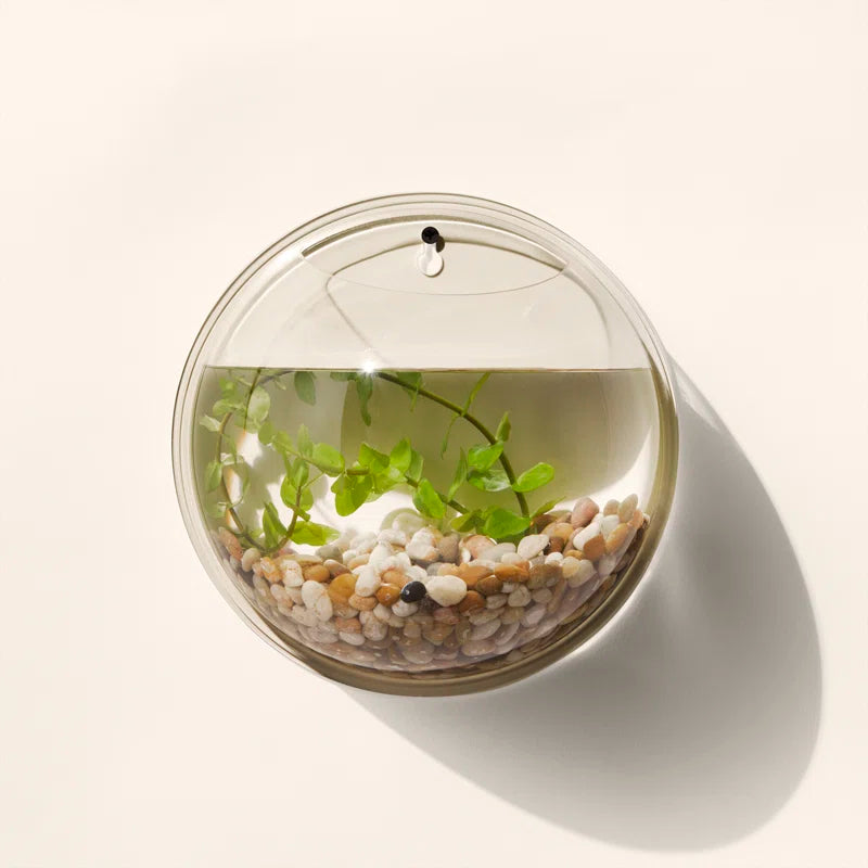Hemington Fish Bubble Deluxe Acrylic Wall Mounted Aquarium Tank