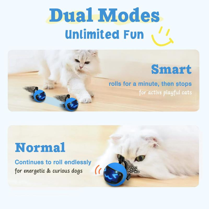 Interactive Cat Toys for Indoor Cats, Cat Ball Toys/Kitten Toys with Remote Control & LED Rainbow Lights, Fun Tracker, Automatic Rolling Chase Ball with Fluffy Tail Automatic Cat-Mykq