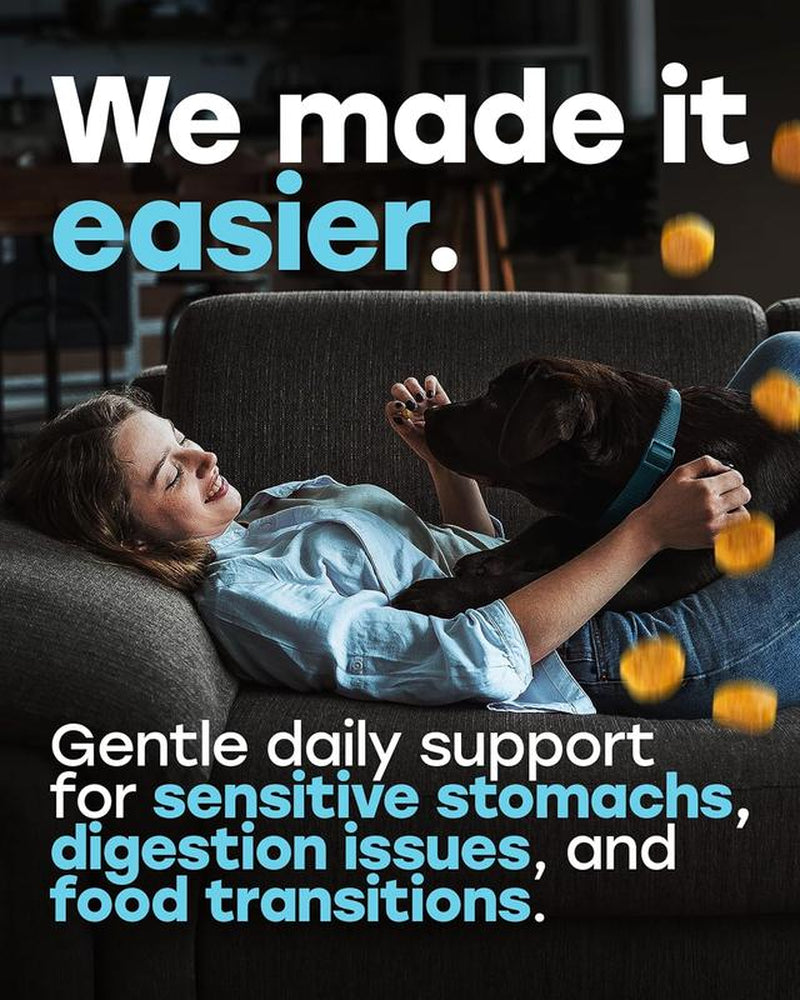 Pup Choice Probiotics for Dogs - Phd Endorsed Digestive Enzymes - Gut Health, Diarrhea & Bowel Support - Dog Treats with Turmeric, Omega-3 & Fiber - Immune Soft 140 Chews - Beef Flavor - Made in USA