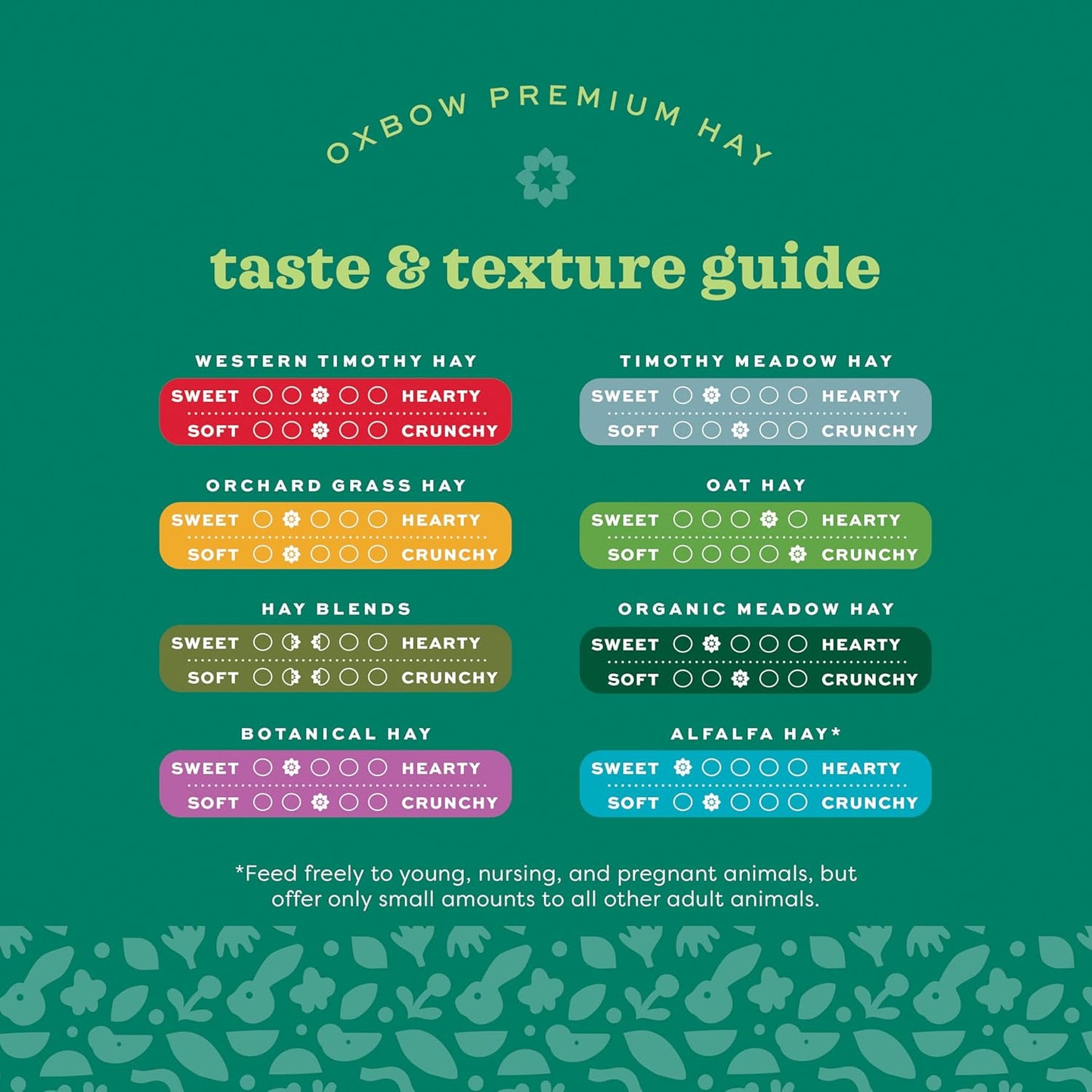 Western Timothy Hay, Guinea Pig Hay, Small Pet Bunny Supplies, All Natural Grass for Guinea Pig, Bunny, Chinchilla & Hamster,  Rabbit Supplies for Bunnies, 90 Oz. Bag