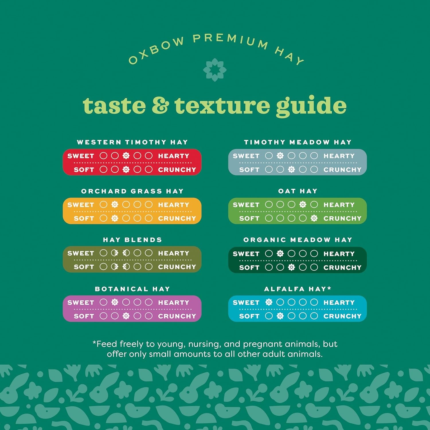 Western Timothy Hay, Guinea Pig Hay, Small Pet Bunny Supplies, All Natural Grass for Guinea Pig, Bunny, Chinchilla & Hamster,  Rabbit Supplies for Bunnies, 90 Oz. Bag