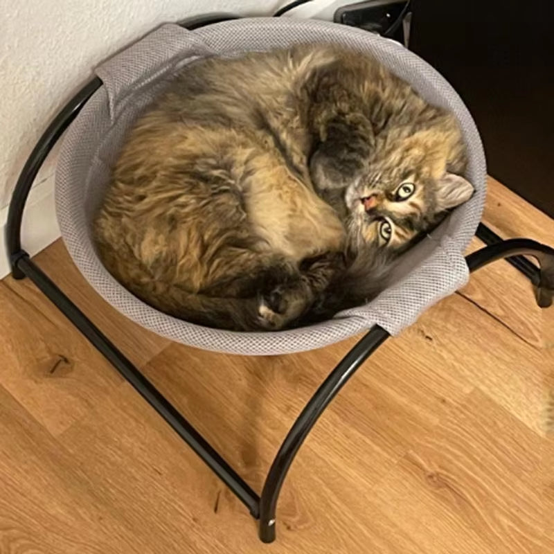 Cat Dog Bed Pet Hammock Cat Standing Bed Pet Supplies Full Wash Stable Structure, Detachable, Excellent Breathability