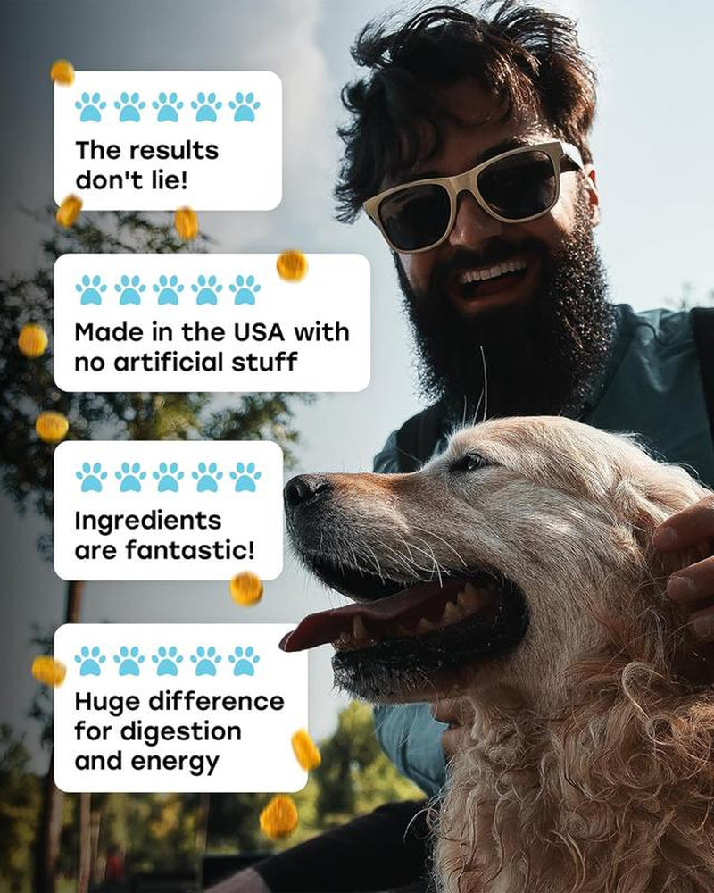 Pup Choice Probiotics for Dogs - Phd Endorsed Digestive Enzymes - Gut Health, Diarrhea & Bowel Support - Dog Treats with Turmeric, Omega-3 & Fiber - Immune Soft 140 Chews - Beef Flavor - Made in USA