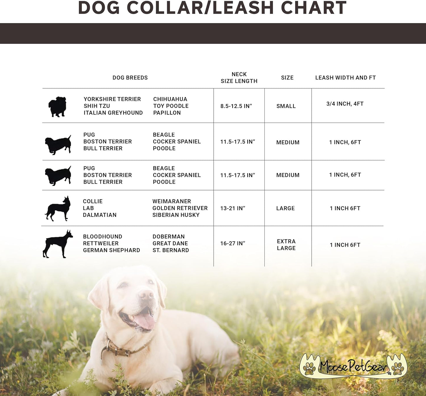 Camo Dog Leash - Camouflage Dog Lead Waterproof with Easy Grip Loop - 1 Inch X 6 Feet, Camouflage