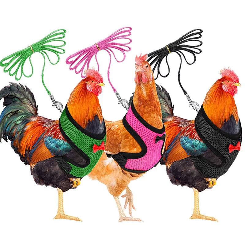 Pet Mesh Soft Harness with Leash Small Animal Vest Lead for Chicken Adjustable Rope with Leash and Matching Belt Hen Pet Vest