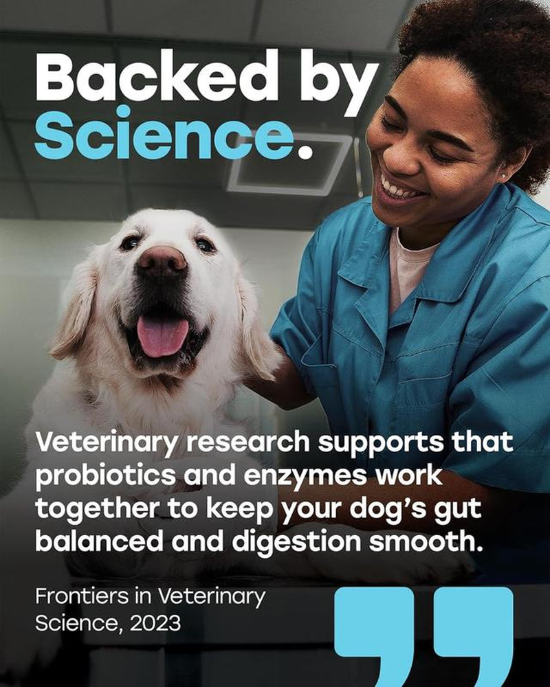 Pup Choice Probiotics for Dogs - Phd Endorsed Digestive Enzymes - Gut Health, Diarrhea & Bowel Support - Dog Treats with Turmeric, Omega-3 & Fiber - Immune Soft 140 Chews - Beef Flavor - Made in USA
