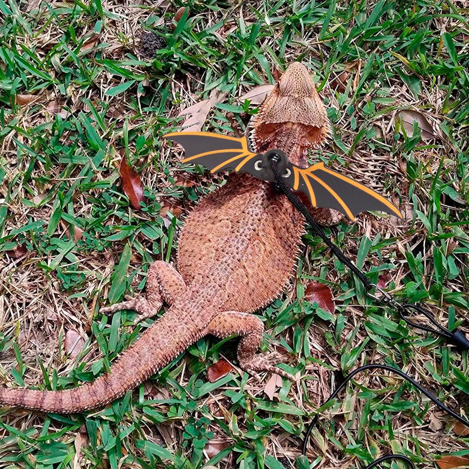 Bearded Dragon Leash Harness, 3 Size Pack Black Lizard Wing Harness with Removable Leash for Bearded Dragon Lizard Reptiles