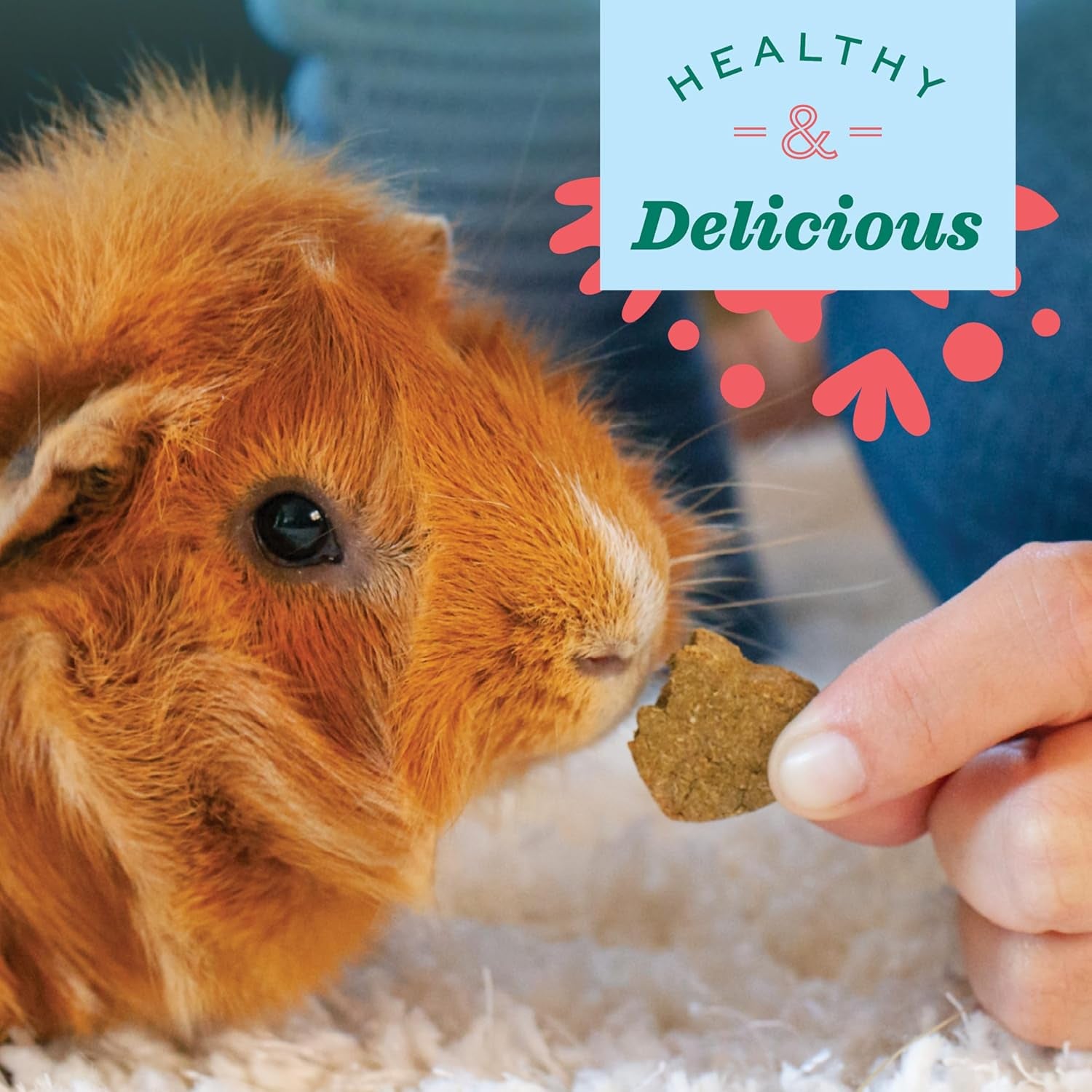Organic Barley Biscuits, Rabbit & Guinea Pig Treats, Organic Hamster & Bunny Treats with Barley, Apple & Carrot, Made in USA, Small Pet Supplies, 2.65 Oz Bag