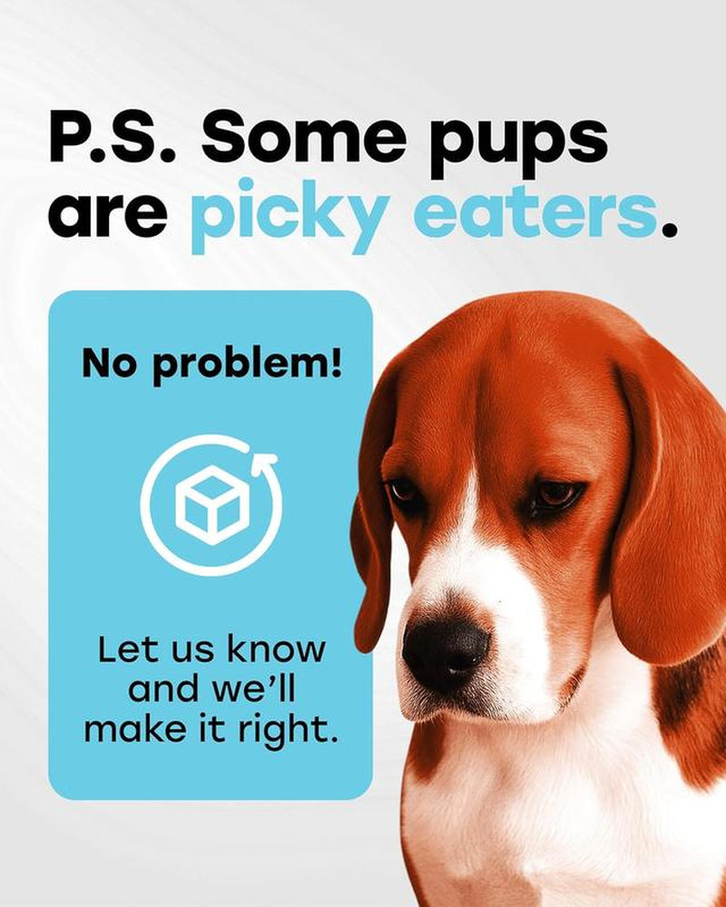 Pup Choice Probiotics for Dogs - Phd Endorsed Digestive Enzymes - Gut Health, Diarrhea & Bowel Support - Dog Treats with Turmeric, Omega-3 & Fiber - Immune Soft 140 Chews - Beef Flavor - Made in USA