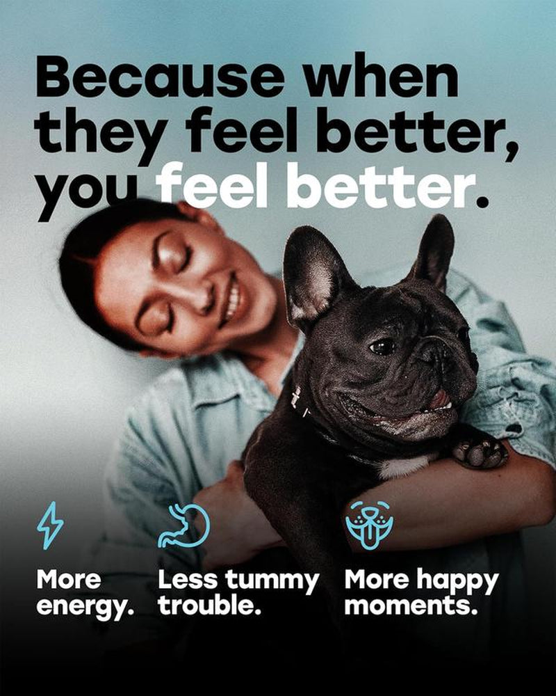 Pup Choice Probiotics for Dogs - Phd Endorsed Digestive Enzymes - Gut Health, Diarrhea & Bowel Support - Dog Treats with Turmeric, Omega-3 & Fiber - Immune Soft 140 Chews - Beef Flavor - Made in USA