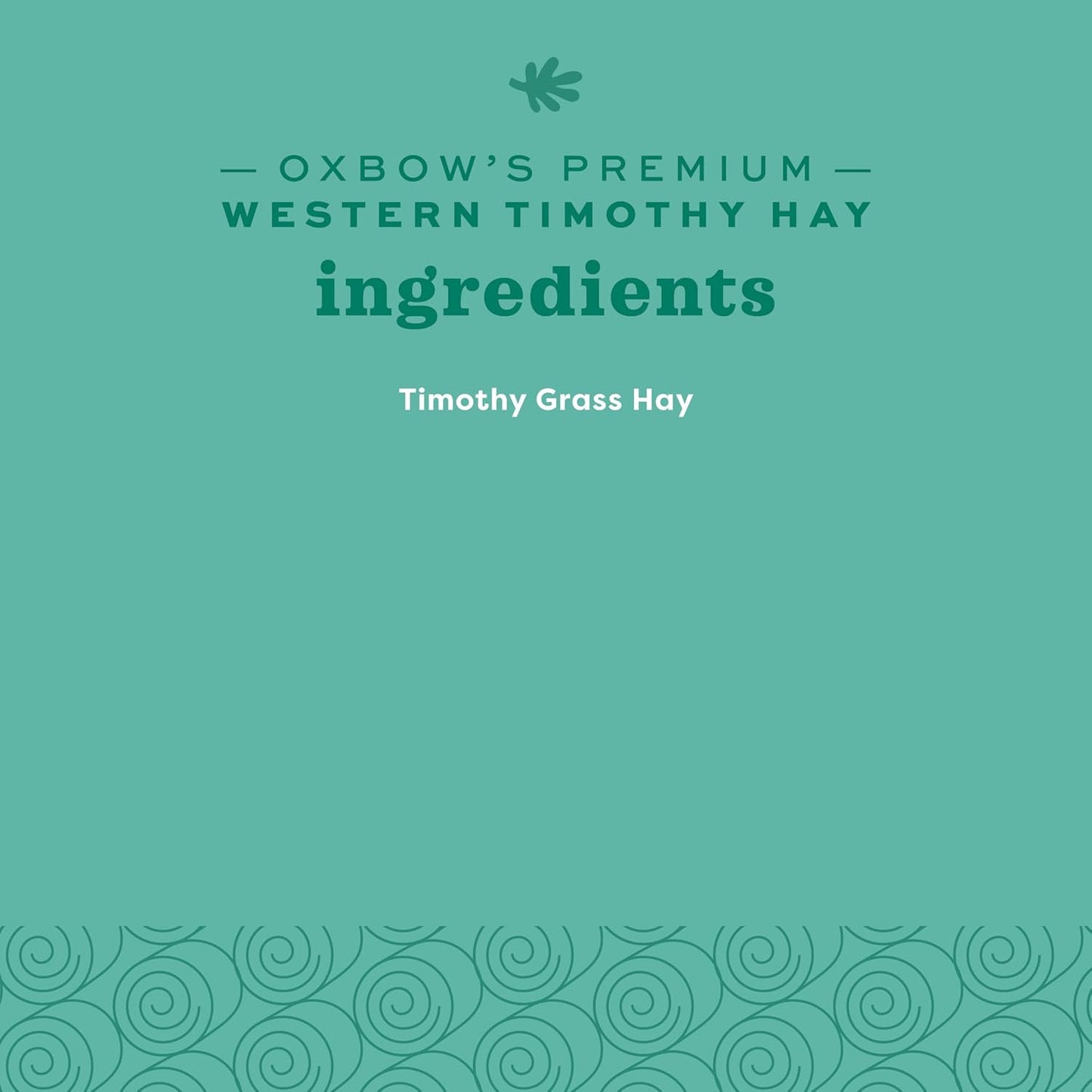 Western Timothy Hay, Guinea Pig Hay, Small Pet Bunny Supplies, All Natural Grass for Guinea Pig, Bunny, Chinchilla & Hamster,  Rabbit Supplies for Bunnies, 90 Oz. Bag