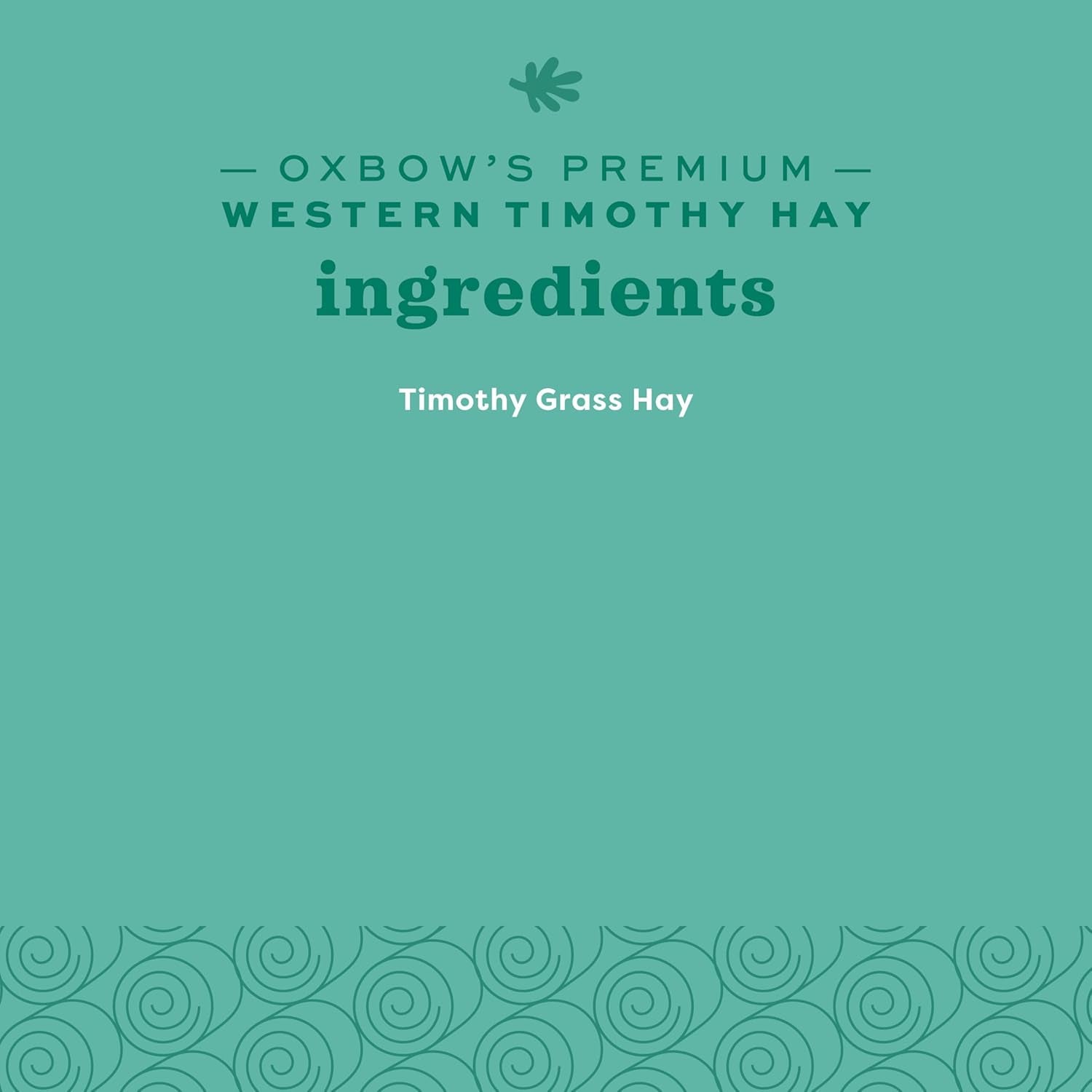 Western Timothy Hay, Guinea Pig Hay, Small Pet Bunny Supplies, All Natural Grass for Guinea Pig, Bunny, Chinchilla & Hamster,  Rabbit Supplies for Bunnies, 90 Oz. Bag